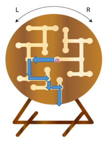 ビー玉の経路