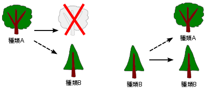 森の木の図形